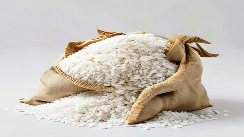 Supplier Beras Premium Grosir Tegal: Distributor Beras Medium dan Premium untuk HORECA